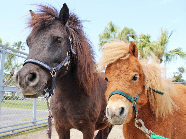 親子で楽しむ♪宮崎県の工場見学・体験スポット＜エリア別＞8選！春休みのおでかけに◎