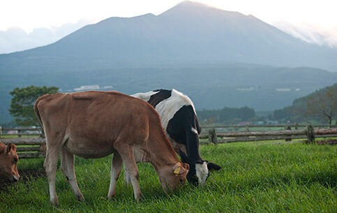 親子で楽しむ♪宮崎県の工場見学・体験スポット＜エリア別＞8選！春休みのおでかけに◎