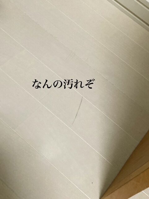 ズボラさんにこそ使ってほしい！掃除が続かない...わが家でも定着した！ドライも水拭きも一度で終わる床掃除