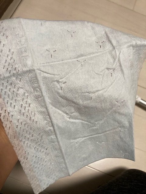 ズボラさんにこそ使ってほしい！掃除が続かない...わが家でも定着した！ドライも水拭きも一度で終わる床掃除