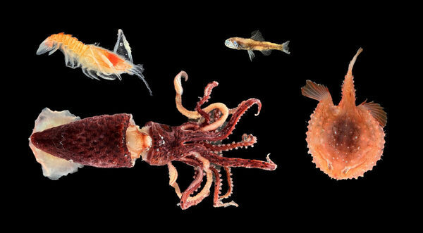 お金かからないのに充実度MAX！遊びと学びで子どもの好奇心を刺激【参加無料】の親子フェスタが池袋に登場