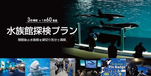 【春休みのお出かけ】子どもが絶対喜ぶ「夜の水族館探検」が最高すぎる。飼育員と巡る裏側見学＆シャチのレストランで忘れられない思い出