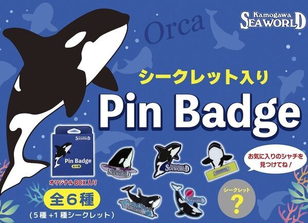 【春休みのお出かけ】子どもが絶対喜ぶ「夜の水族館探検」が最高すぎる。飼育員と巡る裏側見学＆シャチのレストランで忘れられない思い出