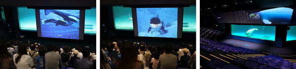 【春休みのお出かけ】子どもが絶対喜ぶ「夜の水族館探検」が最高すぎる。飼育員と巡る裏側見学＆シャチのレストランで忘れられない思い出