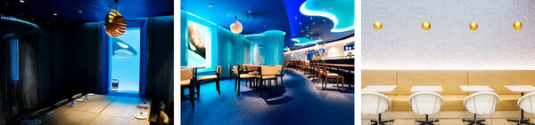 【春休みのお出かけ】子どもが絶対喜ぶ「夜の水族館探検」が最高すぎる。飼育員と巡る裏側見学＆シャチのレストランで忘れられない思い出