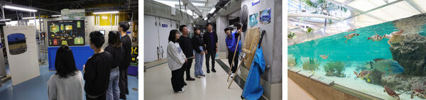 【春休みのお出かけ】子どもが絶対喜ぶ「夜の水族館探検」が最高すぎる。飼育員と巡る裏側見学＆シャチのレストランで忘れられない思い出