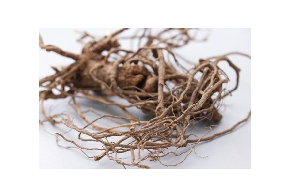 【速報】あの「鼻セレブ」が顔パックに！鼻を甘やかしてきた“究極のやさしさ”がついに全顔へ。3/5、敏感肌の運命が変わる…！