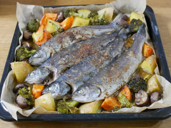 【埼玉・神奈川・東京】小学生にも「釣れた！」親子でハマった、食べて遊べる1日プラン。おすすめ釣り場5選