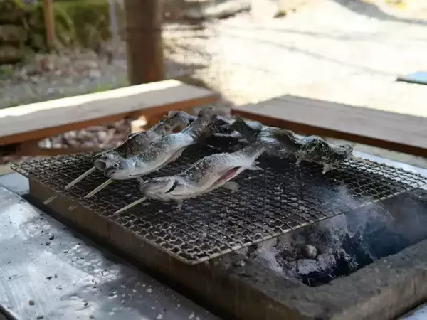 【埼玉・神奈川・東京】小学生にも「釣れた！」親子でハマった、食べて遊べる1日プラン。おすすめ釣り場5選
