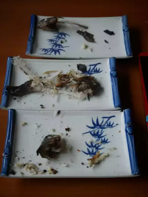 【埼玉・神奈川・東京】小学生にも「釣れた！」親子でハマった、食べて遊べる1日プラン。おすすめ釣り場5選