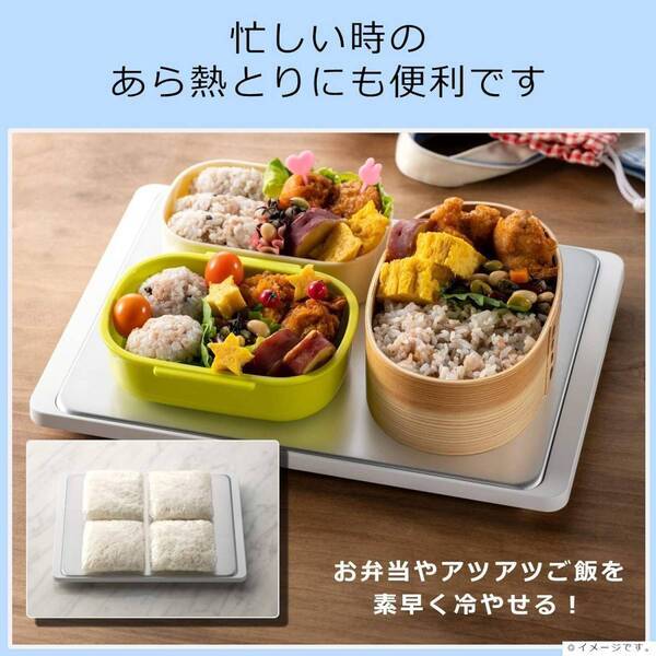 【そのお弁当、大丈夫？】子どもを守るお弁当の食中毒対策、準備から詰め方までしっかり解説
