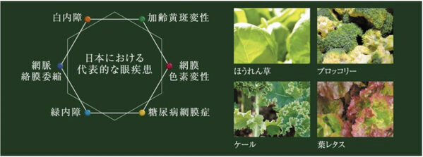 目は脳の一部、目はもっとも外にさらされた脳。3児のママ 枡田絵理奈さん「将来的な子どもの視力が心配」