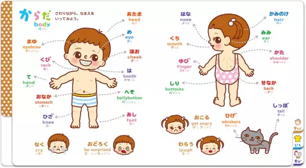 出産祝いに迷ったらこれいいよ！0歳〜4歳まで長く使える『こどもずかん英語つき』累計250万部超の改訂版が発売