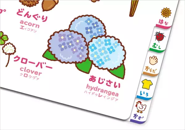 出産祝いに迷ったらこれいいよ！0歳〜4歳まで長く使える『こどもずかん英語つき』累計250万部超の改訂版が発売