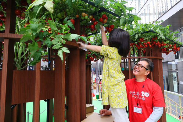 【無料】横浜にトマトの森が出現!? 収穫体験など５つのコンテンツで野菜について学べる