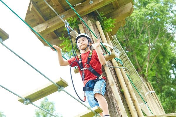 【プレゼントキャンペーン開催中】家族連れに人気の体験型テーマパーク「こもれび森のイバライド」が10周年