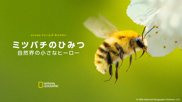 【横浜・無料】ココリコ田中さんも登場！ナショジオの大迫力イベントで「地球の素顔に触れる」体験を…