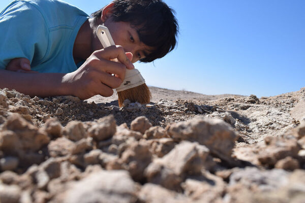 【横浜・無料】ココリコ田中さんも登場！ナショジオの大迫力イベントで「地球の素顔に触れる」体験を…