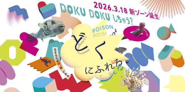 「触れたら危険？」毒を持つ生きもの30種が集結…ニフレルに“禁断ゾーン”誕生！
