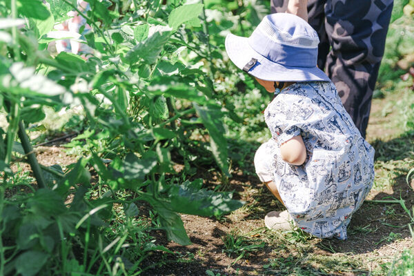 予約不要で参加できるプログラムがたくさん！GWに麻布台ヒルズで親子で楽しめるイベントが開催