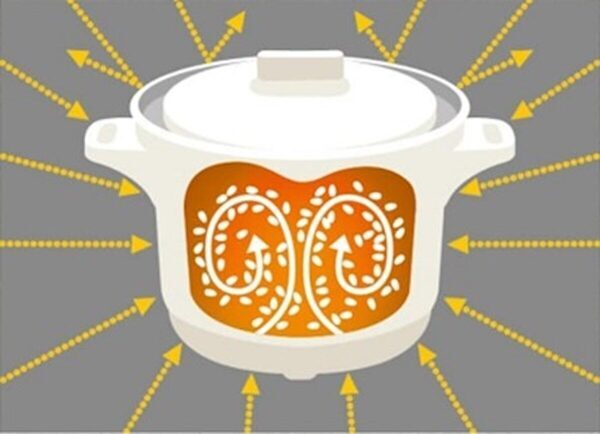 暑い夏にコンロに立たなくていいやつ見つけた！レンジに入れるだけでカレーもご飯も作れる調理ポット