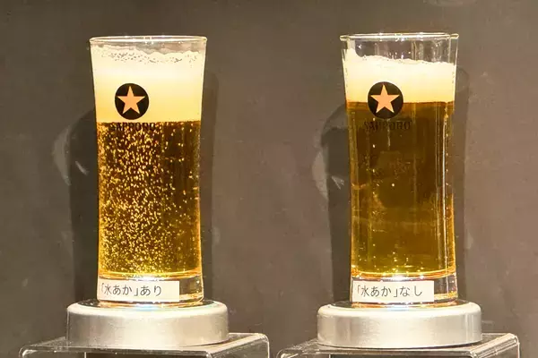 皿洗い後に15秒で速乾、しかも除菌もできるってマジか！ リニューアルした「CHARMY Magica」が時短過ぎた