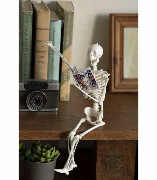 夏の自由研究、これで決まりかも。人体骨格模型を組み立てて内臓の位置まで学べるキット！つくって・はって・動かして学べる学研の新作