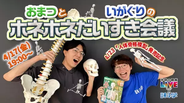 夏の自由研究、これで決まりかも。人体骨格模型を組み立てて内臓の位置まで学べるキット！つくって・はって・動かして学べる学研の新作