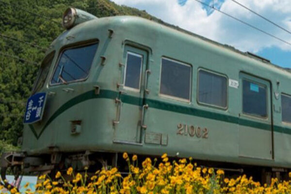 大井川鐵道＆天竜浜名湖鉄道を堪能！子どもだけで計画する「撮り鉄旅」洗車機や転車台、車両乗車体験も