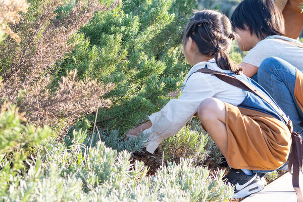 約40店舗が集結！子どもの「お買い物体験」を応援するマルシェの開催＆本格的なおしごと体験も