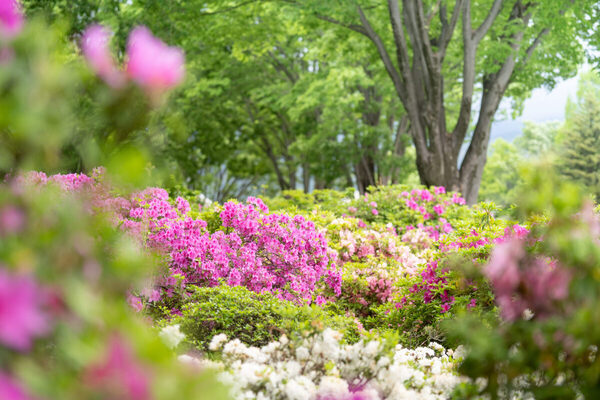 約40店舗が集結！子どもの「お買い物体験」を応援するマルシェの開催＆本格的なおしごと体験も