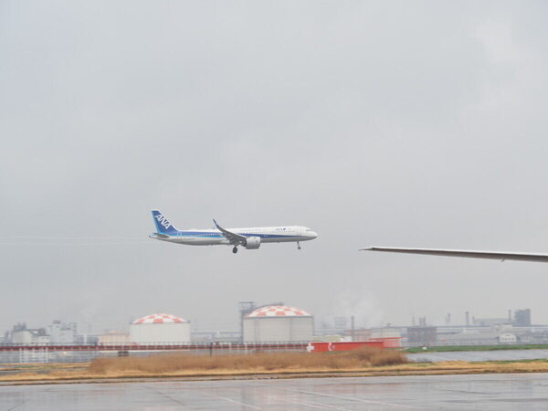 「飛行機がこんなに近くに！」至近距離で浴びるオーラに息子の瞳は一瞬で奪われた！ ANA格納庫見学レポ（東京・大田区）