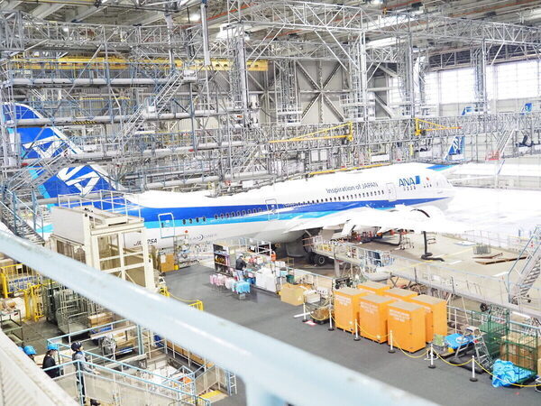 「飛行機がこんなに近くに！」至近距離で浴びるオーラに息子の瞳は一瞬で奪われた！ ANA格納庫見学レポ（東京・大田区）
