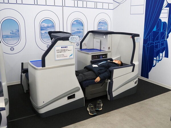 「飛行機がこんなに近くに！」至近距離で浴びるオーラに息子の瞳は一瞬で奪われた！ ANA格納庫見学レポ（東京・大田区）
