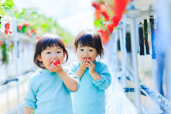 つわりや帝王切開の傷の痛みを乗り越えて、双子を生んでくれた妻 #家族に伝えたい「ありがとう」