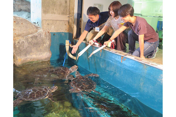【5/25～】飼育体験やオリジナル石けん作り…しものせき水族館×シャボン玉石けんが自然環境を学べるイベントを開催