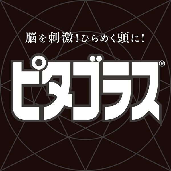 磁石でピタッとくっつく知育玩具ピタゴラスに、はじめてファミリー向けのセットが登場。1歳から一緒に遊べる！