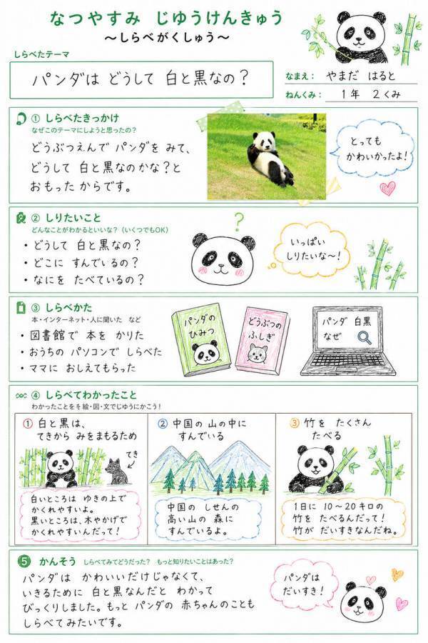 自由研究のまとめ方がわかる！低学年用テンプレート｜1・2年生向けおすすめ4選（無料PDFダウンロード付）