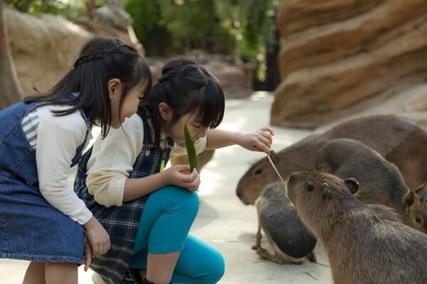 「自由研究のテーマ、これにしよう」が見つかる。神戸ポートピアホテルの夏休みこども教室が幼児から中学生まで対応
