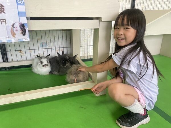【雨の日は全員入園無料】雨でも乳しぼりもデジタル遊びもアルパカも楽しめる！那須りんどう湖の6月キャンペーンがお得