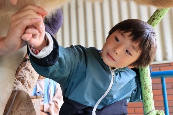 【雨の日は全員入園無料】雨でも乳しぼりもデジタル遊びもアルパカも楽しめる！那須りんどう湖の6月キャンペーンがお得