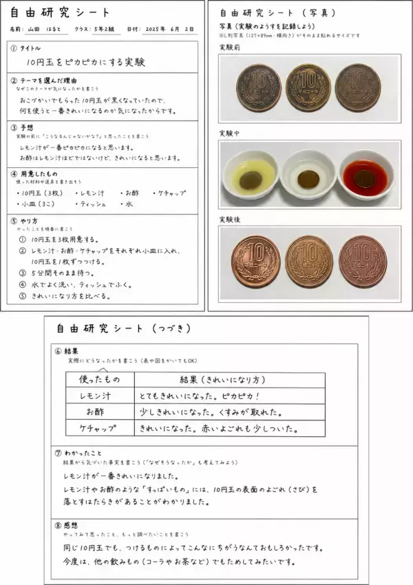 10分で終わる自由研究｜小学6年生・中学生向けの簡単テーマ5選（無料テンプレート付き）