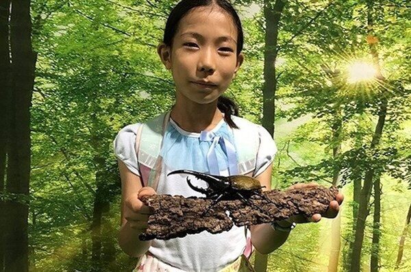昆虫標本も自分で作れる。ヘラクレス・ネプチューン・新種クワガタが集結する昆虫展が埼玉・所沢で7月18日から