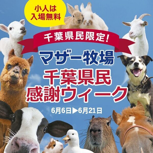 【900円→0円！】千葉県民なら子ども無料・大人200円引き。マザー牧場「千葉県民感謝ウィーク」6月6日スタート