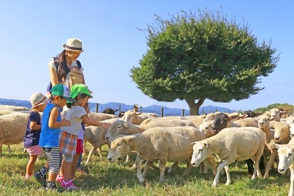【900円→0円！】千葉県民なら子ども無料・大人200円引き。マザー牧場「千葉県民感謝ウィーク」6月6日スタート