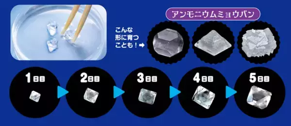 試験管に急にふわっと結晶が現れる瞬間、子どもが絶対興奮する。本格化学実験キット「きらめく宝石結晶」が登場
