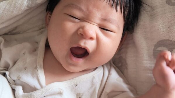 【手ブレなし】走り回る子どもの撮影スマホ以上にキレイ！マザーズバッグに入る最小最強カメラの実力