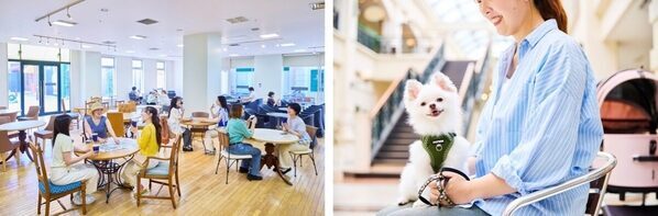 夏くる〜！ハウステンボスの巨大プールが7月4日先行オープン！しかも涼しく遊べる工夫が今年さらにパワーアップ