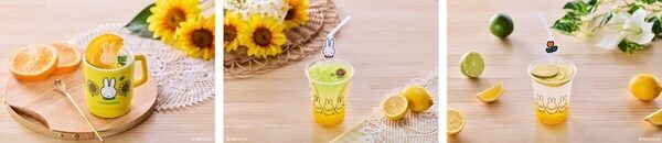 夏くる〜！ハウステンボスの巨大プールが7月4日先行オープン！しかも涼しく遊べる工夫が今年さらにパワーアップ
