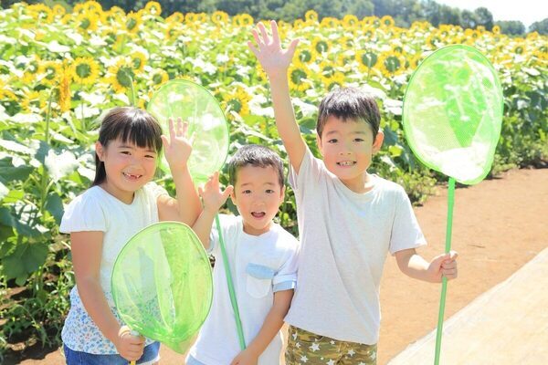 小1の壁は「長期休み」が山場!? 初めての夏休みを迎える前に親が知っておくべきこと